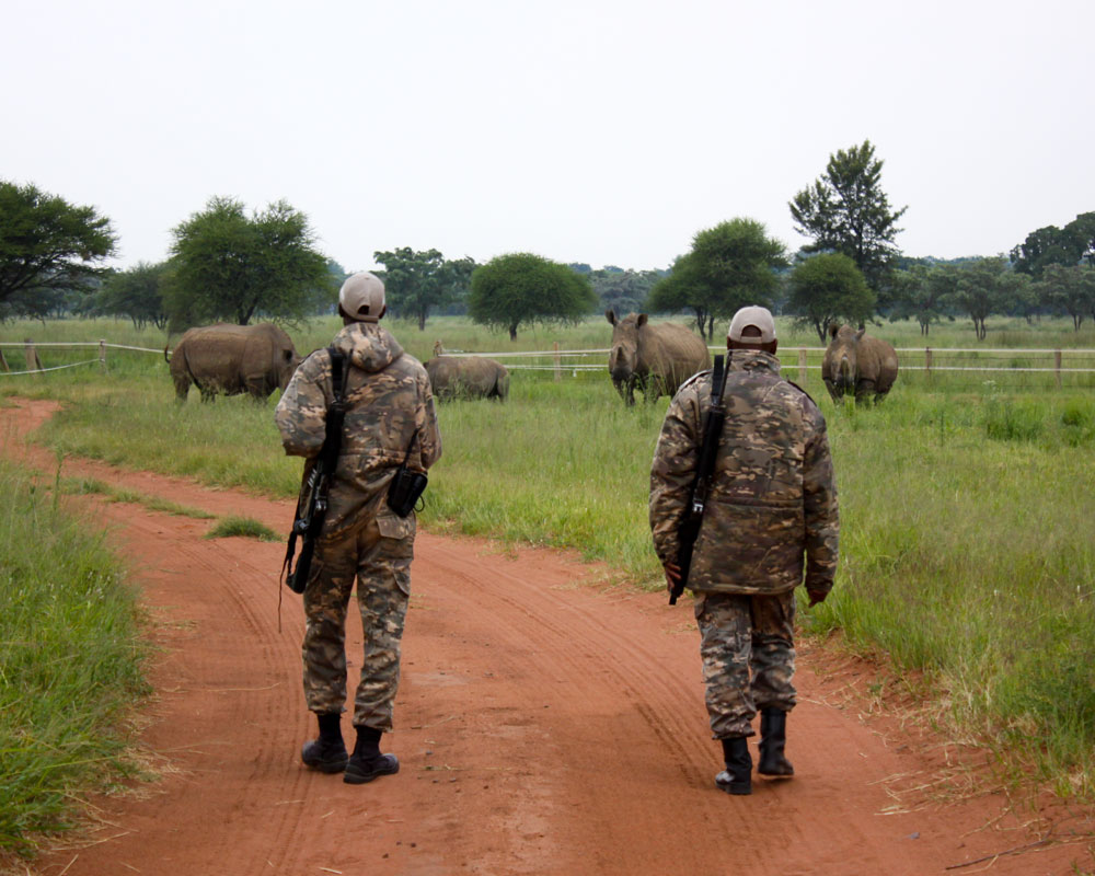 Anti-poaching guards on patrol